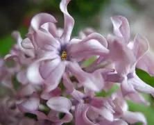 实时比分-关于?想腲N?N_)7蚹竡$瓣詣?薟t的信息